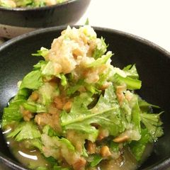 A picture of Raw Chrysanthemum Greens with Mustard Daikon Radish Natto.