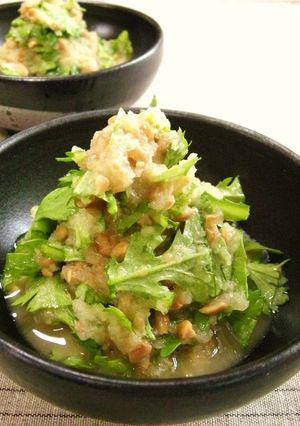 A picture of Raw Chrysanthemum Greens with Mustard Daikon Radish Natto.