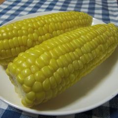 A picture of My Family's Microwaved Corn on the Cob.
