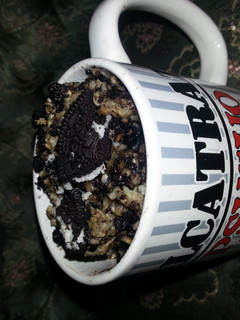 A picture of oreo oatmeal.