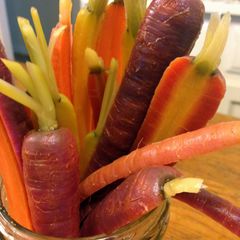 Quick Pickle Carrots A picture of Quick Pickle Carrots.