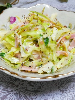 A picture of Coleslaw with Drained Yogurt and Cabbage.
