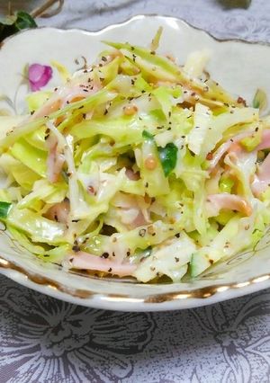 A picture of Coleslaw with Drained Yogurt and Cabbage.