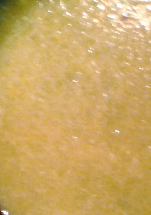 A picture of onion sauce.