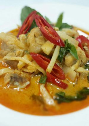A picture of Thai Chicken Red Curry.