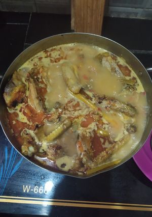 Foto resep Ayam lodho mantap