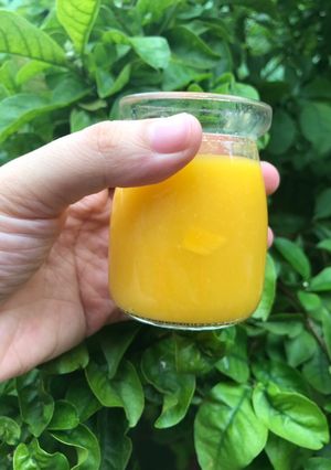Hình của món Trà xoài.
