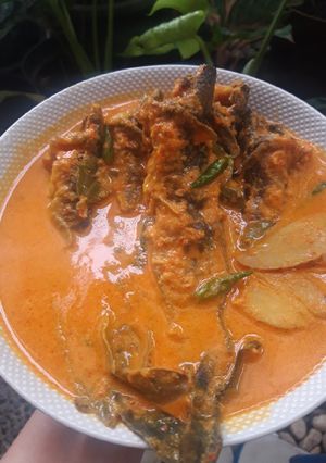 Foto resep Mangut Lele