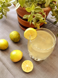 عکسی از دستور شربت عسل