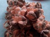 Bolu kukus