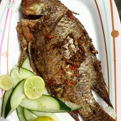 A picture of Grilled fish.