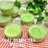 Thai-Green Tea Puding -keto