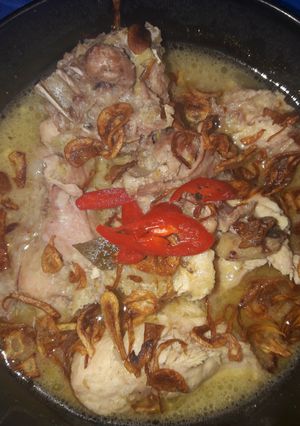 Foto resep Ngidam opor ayam