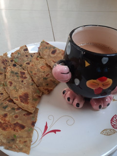 કોથમરી મરચા ના થેપલા (Kothmir Marcha Na Thepla Recipe In Gujarati) રેસીપી મુખ્ય ફોટો