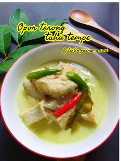 Foto resep Opor Terong Tahu Tempe