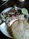 Corvina a las hierbas