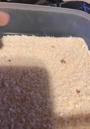 Una foto de Relleno para bombones. Con harina de almendras
