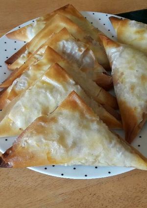 A picture of Spicy beef triangles.