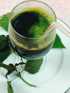 Hình của món Sinh tố lá TÍA TÔ.