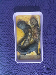 Foto resep Mangut lele jleger