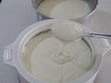 ماست بستم چه ماستی ماست خوشمزه
