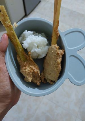 Foto resep Sate Pentul Ayam & Hati Ayam (MPASI 10 bln)