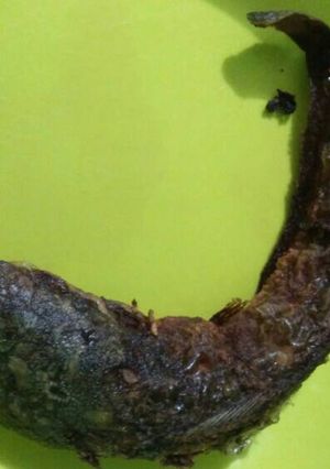 Foto resep Lele goreng mbak ira