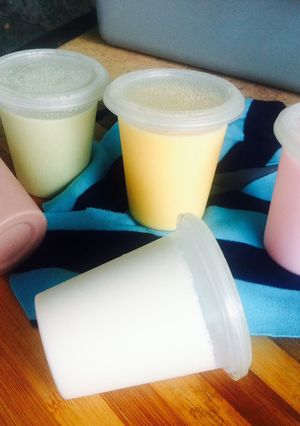Foto resep Silky Pudding Warna-Warni