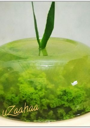 Foto resep Puding lumut simple