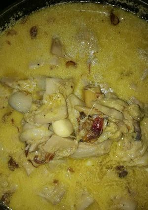 Foto resep Opor nangka😍