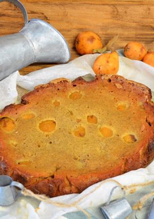 A picture of Loquat Cake (Crock Pot).
