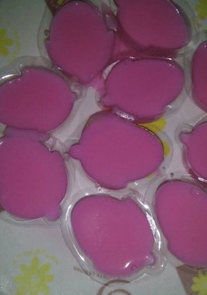 Foto resep Puding santan susu
