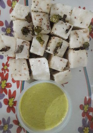 ચોખાના ખાટા ઢોકળા (chokha na dhokla recipe in gujrati) રેસીપી મુખ્ય ફોટો