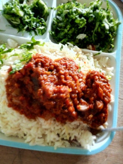 A picture of Rice and Stew with salad. # kano.