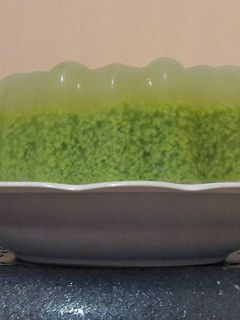Foto resep Puding Lumut Anti Gagal