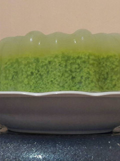Foto resep Puding Lumut Anti Gagal