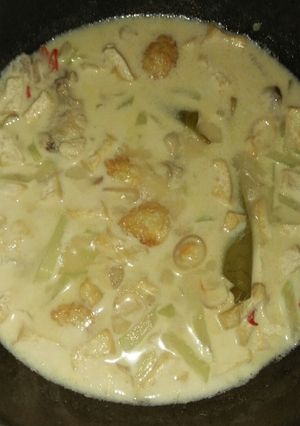 Foto resep Sayur labu siyam (gondes)