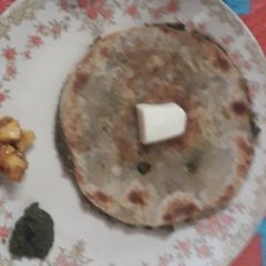 A picture of Green Chana Paratha.