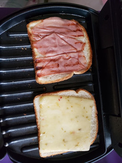 A picture of Grilled lunch.