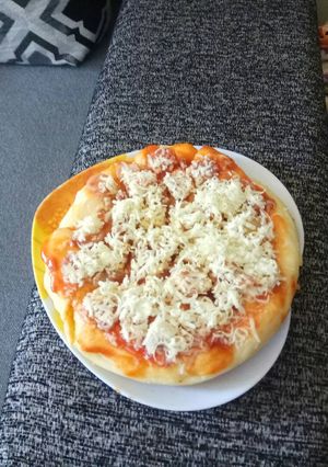 Foto resep Pizza teflon alaala