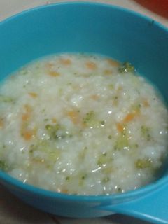 Foto resep MPAsi 9 bulan bubur sayur dan ayam