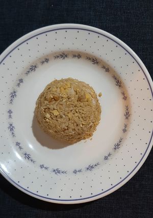 Foto resep Nasi Goreng Teri Nasi
