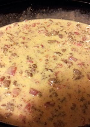 A picture of Rotel Dip.