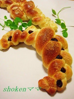 A picture of Cute Braided Bread.