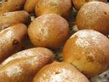 raisin walnut rolls