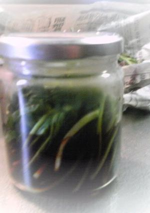A picture of Soy Sauce Marinated Ramps.