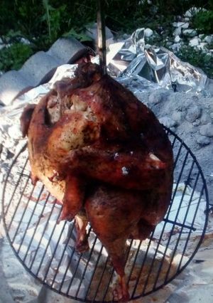 A picture of Trash Can Turkey.