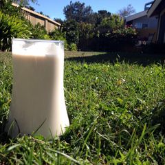 A picture of Almond Milk (can substitute any nut).