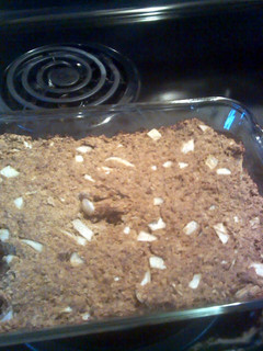 A picture of Meatloaf.