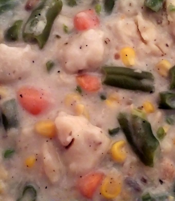 A picture of Chicken and dumpling soup.